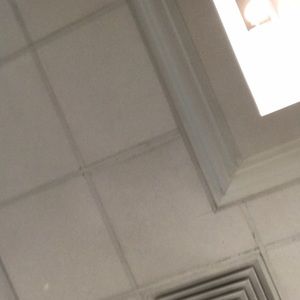 Meet your Posher, Gio